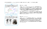 答え：PDF1,509KB