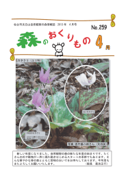 森のおくりもの2013年4月号