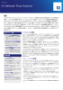 CA Network Flow Analysis
