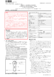 PDFファイル