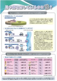 私たちの家庭から出る生活排水が大きな原因です