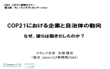 PDF - 地球環境戦略研究機関