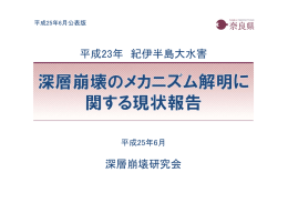 平成23年 紀伊半島大水害 深層崩壊研究会