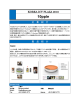 企業一覧ダウンロード