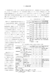 リン酸塩皮膜