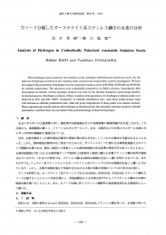 カソード分極したオーステナイ ト系ステンレス鋼中の水素の分析