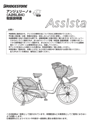 アンジェリーノ e （A26L84） 取扱説明書
