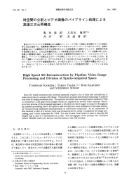 時空間の分割とビデオ画像のバイプライ ン処理による 三次