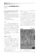 コウノトリ育む環境整備の進め方