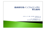 高病原性鳥インフルエンザと野生動物