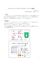 リムルス PSシングルテストによるエンドトキシン測定法