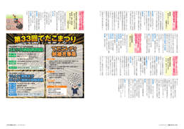 てだこレディ 候補者募集 てだこレディ 候補者募集 てだこレディ