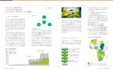 アフリカにおける JTグループのビジネス展開