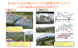 紅まどんなの雨よけハウス設置のポイント①