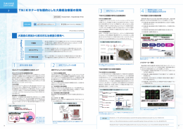 フ TNーKキナ一ゼを標的とした大腸癌治療薬の開発