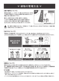 ২͑ࠐΈํͷ ݟ෼͚ํ ヤ植物の管 【置き場所について】