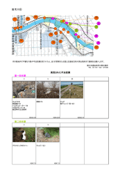 岩木川⑥