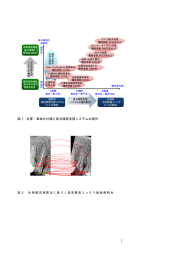 1 図 1．災害・事故の分類と身元確認支援システムの要件