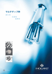 マルチチップ杵 - iHolland