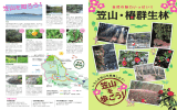 笠山・椿群生林マップ（PDF）はこちらをクリックしてください