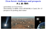 21cm forest: challenges and prospects