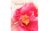 2012年3月 - bicoid