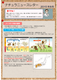 ナチュラニュースレター