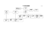 TYC 役員会組織図