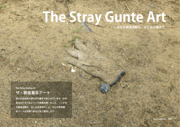 The Stray Gunte Art