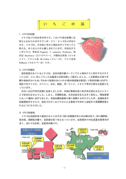 イテゴはバラ科の多年草です〟 このバラ科の仲間には