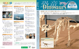 Dinosaurs 27号 (pdf 850KB)