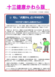 第12号 2012年4月発行（PDF,660KB）