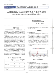 水環境改善からみた個別処理の水質の状況