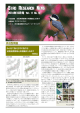 BIRD RESEARCH NEWS 2014年10月号 Vol.11 No.10