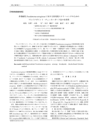 多剤耐性 Pseudomonas aeruginosa に対する併用薬スクリーニングの