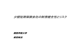 少額短期保険会社の財務健全性とリスク