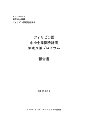 フィリピン国 中小企業開発計画 策定支援プログラム