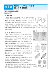 Page 1 口植物のつくりとはたらき 学習のポイント 種子の発芽 種子は