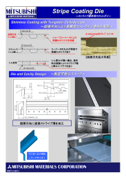 Stripe Coating Die～ストライプ塗布用スロットダイ～