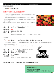 イベント情報 11 月 シミック八ヶ岳薬用植物園 「庭の落葉で腐葉土作り