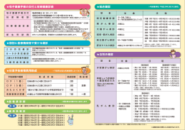 母子健康手帳の交付と妊婦健康診査、個別の健診、任意予防接種費用