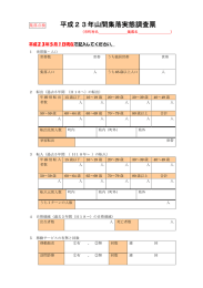 平成23年山間集落実態調査票