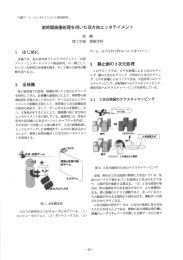 Page 1 「京都アート・エンタテインメント創成研究」 実時間画像処理を用