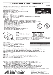 AC DELTA PEAK EXPERT CHARGER Ⅱ