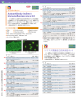 Autoantibody Indirect Immunofluorescence Kit