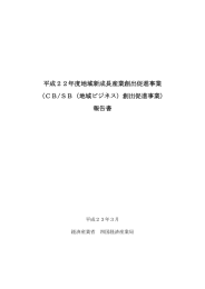 平成22年度地域新成長産業創出促進事業