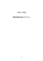 平成25年度 障害者雇用支援プログラム