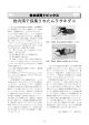 岩内湾で採集されたムラサキダコ