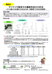 サツマイモ葉身中の機能性成分分析法