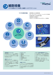 細胞培養 - 株式会社ASICON